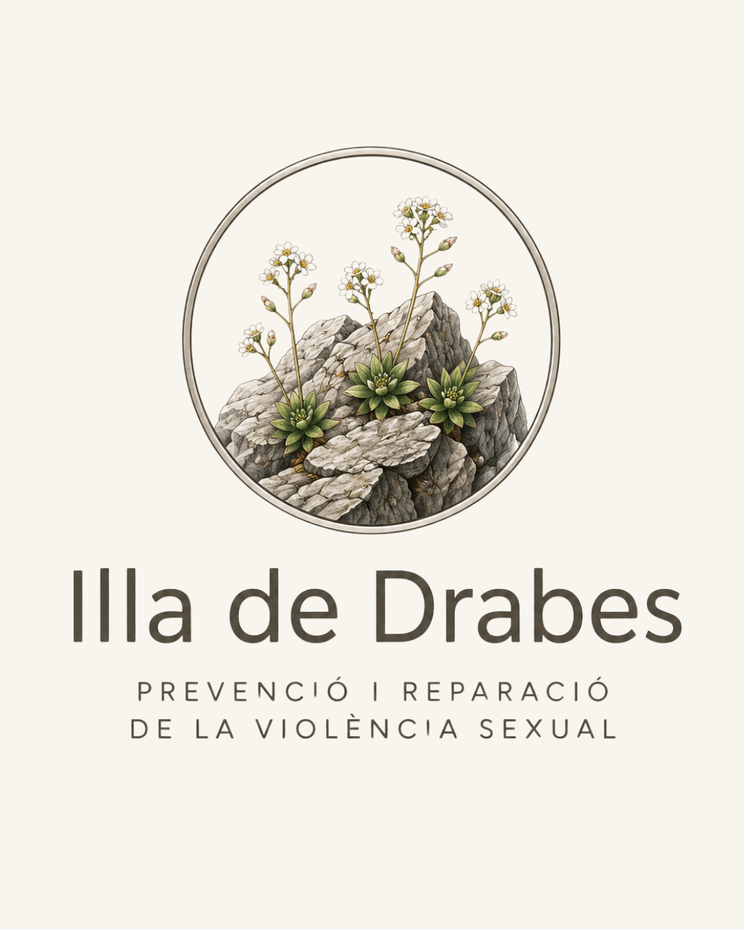 Illa de Drabes · Prevenció i Reparació de la Violència Sexual